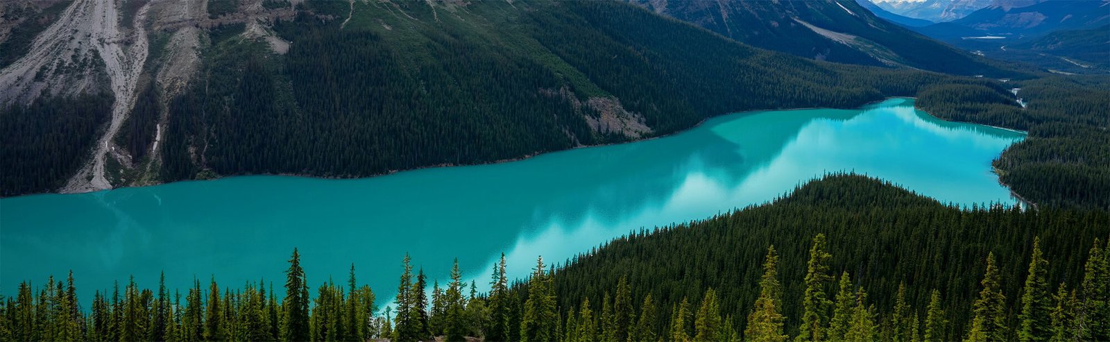 Politique de confidentalité